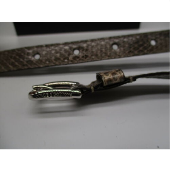 DOLCE & GABANNA Ayers natural snakeskin belt main image 4